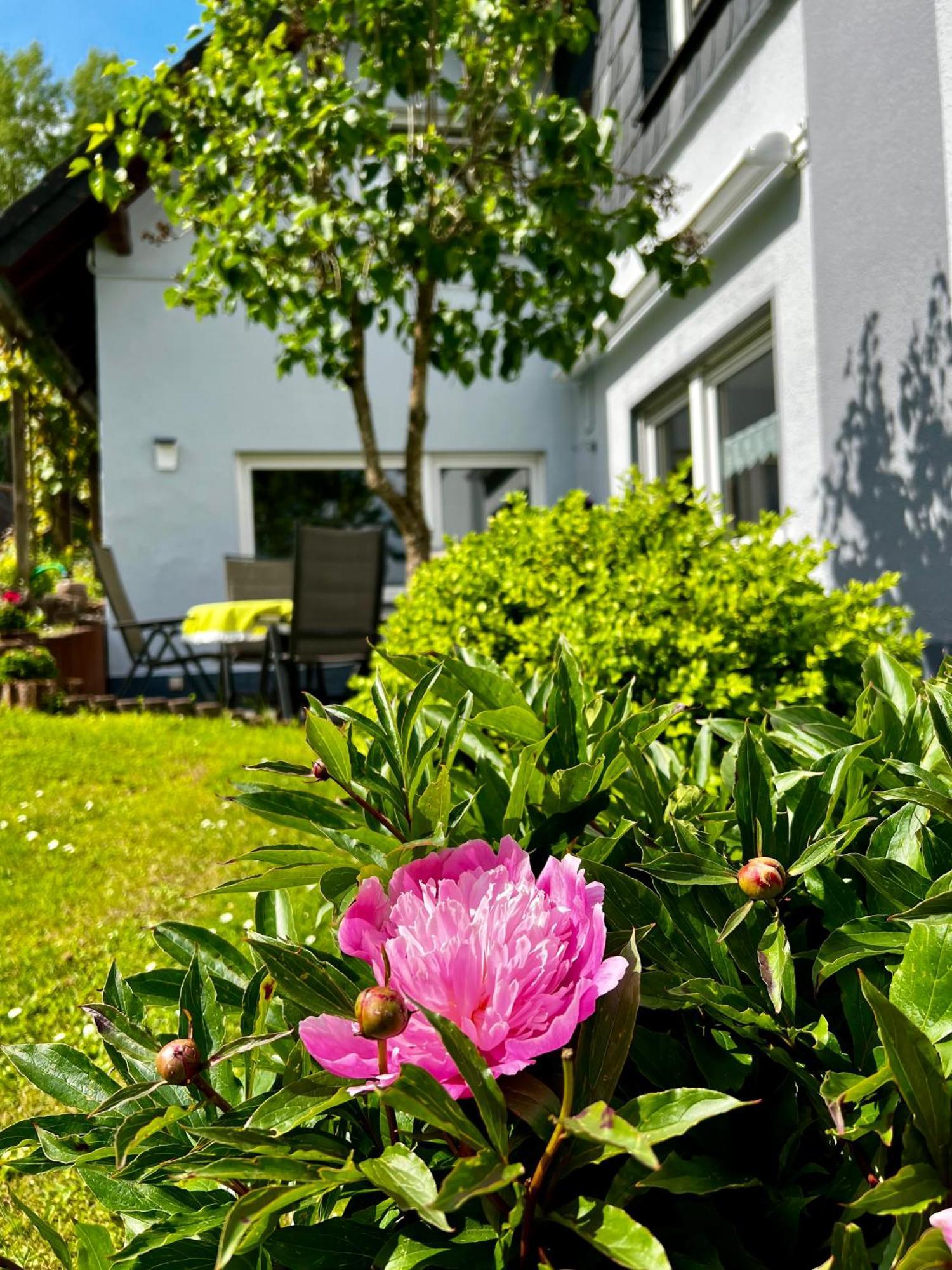 Deine-Eifel-Ferienwohnung Feusdorf Екстериор снимка