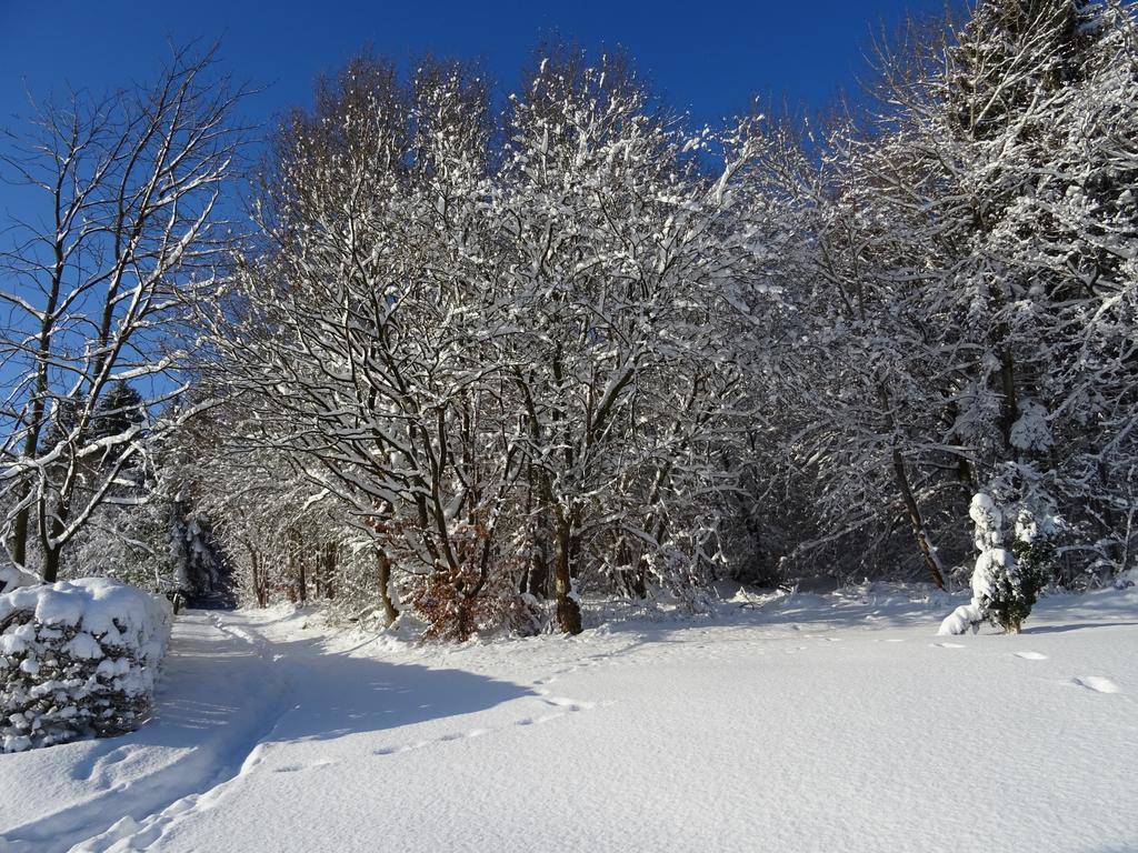Deine-Eifel-Ferienwohnung Feusdorf Екстериор снимка